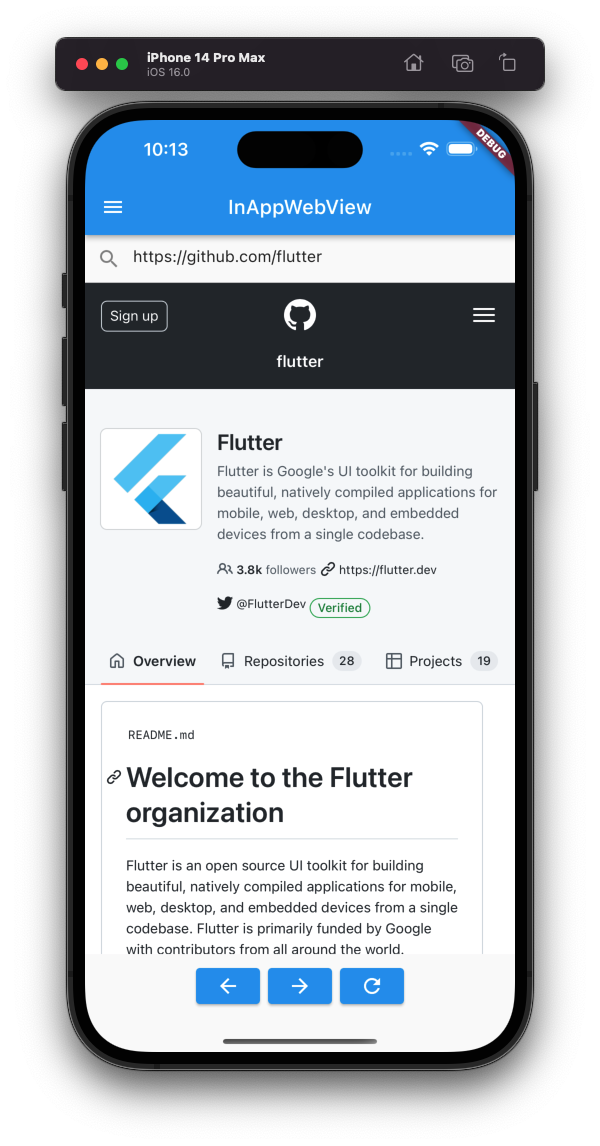 flutter_inappwebview